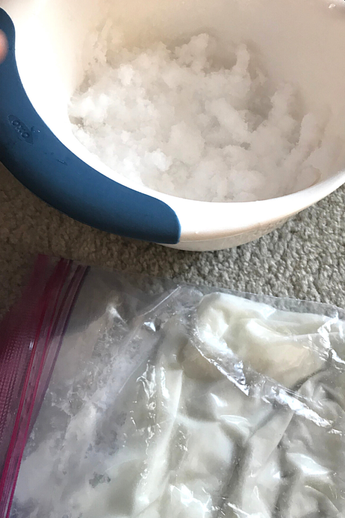 Snow and Blubber Bag Activity