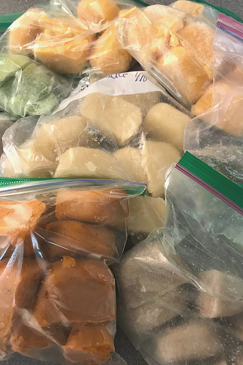 Homemade Baby Food Freezer Bags