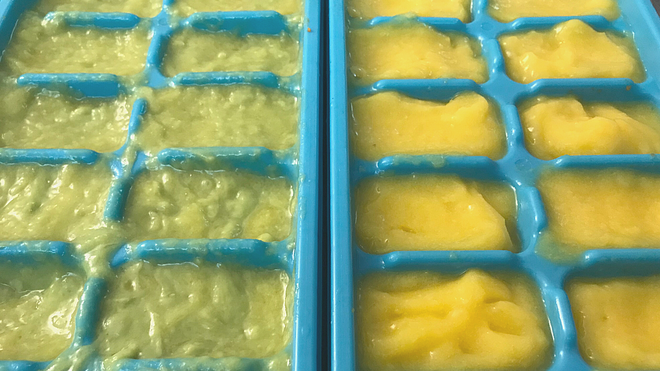 Homemade Baby Food in Ice Cube Trays