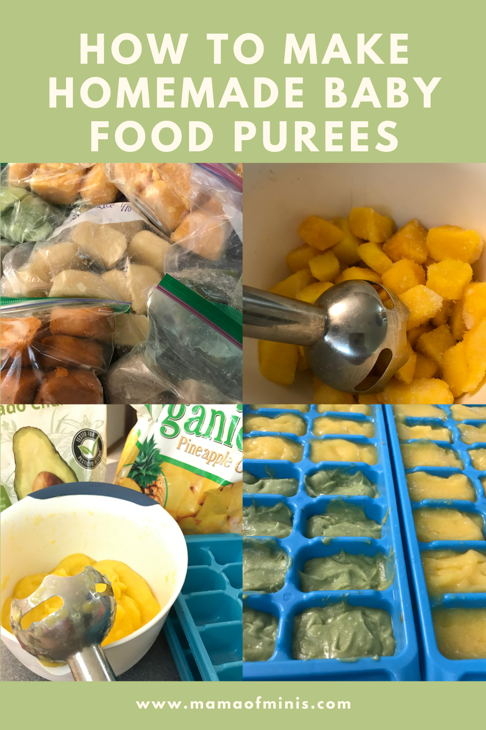 Homemade Baby Food Puree Collage