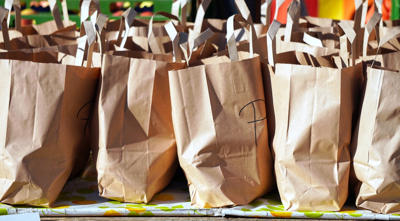 Shopping Bags with Groceries
