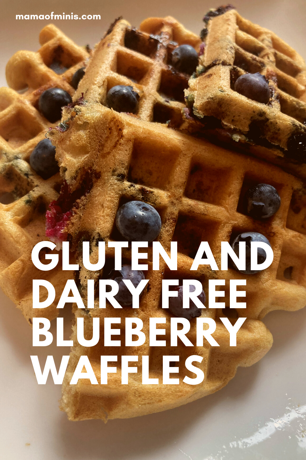 Gluten and Dairy Free Blueberry Waffles