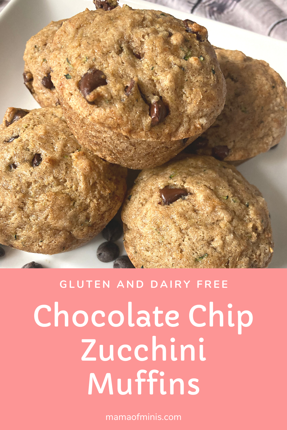 Chocolate Chip Zucchini Muffins - Gluten and Dairy Free