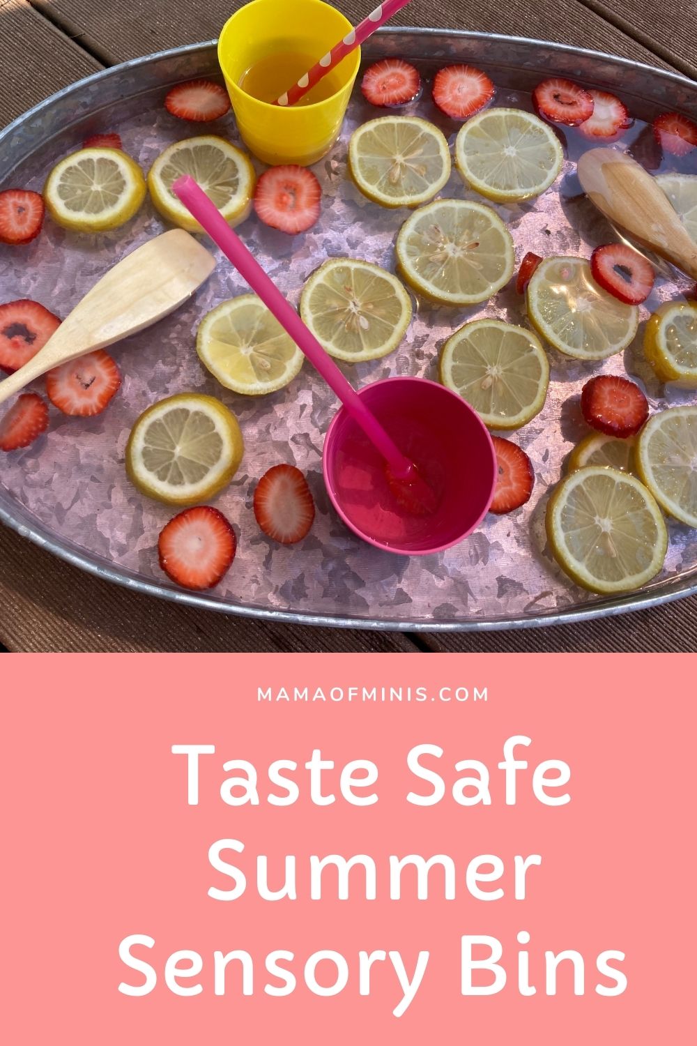 Taste Safe Summer Sensory Bin Ideas Pin