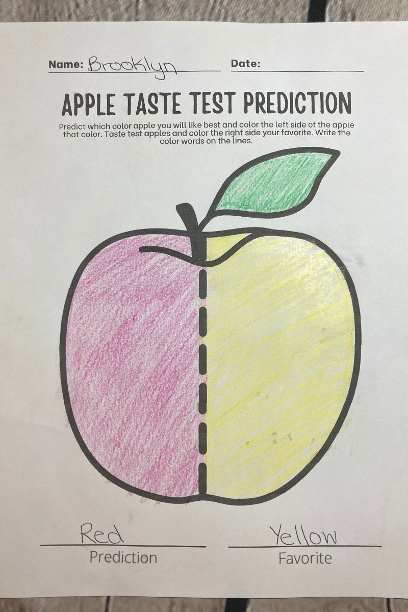 Apple Taste Test Prediction Worksheet
