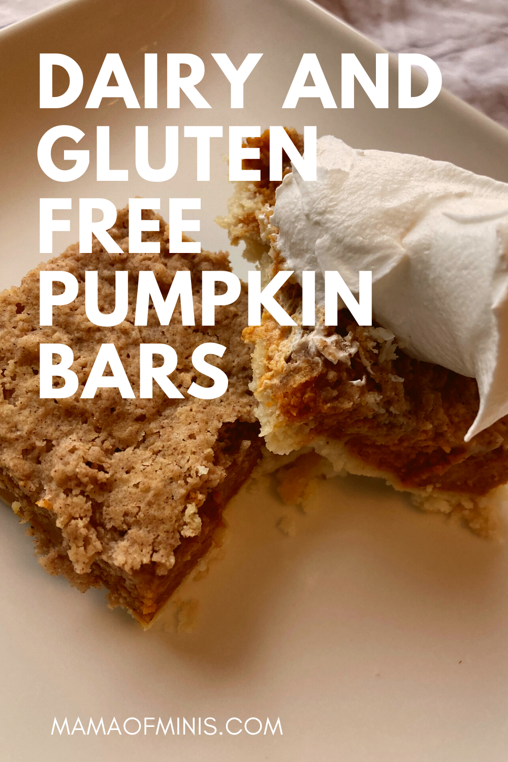 Dairy and Gluten Free Pumpkin Bars