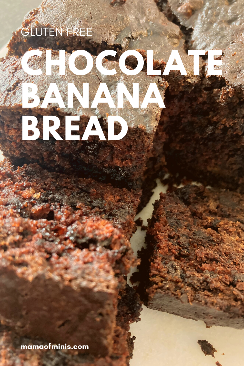 Gluten Free Chocolate Banana Bread