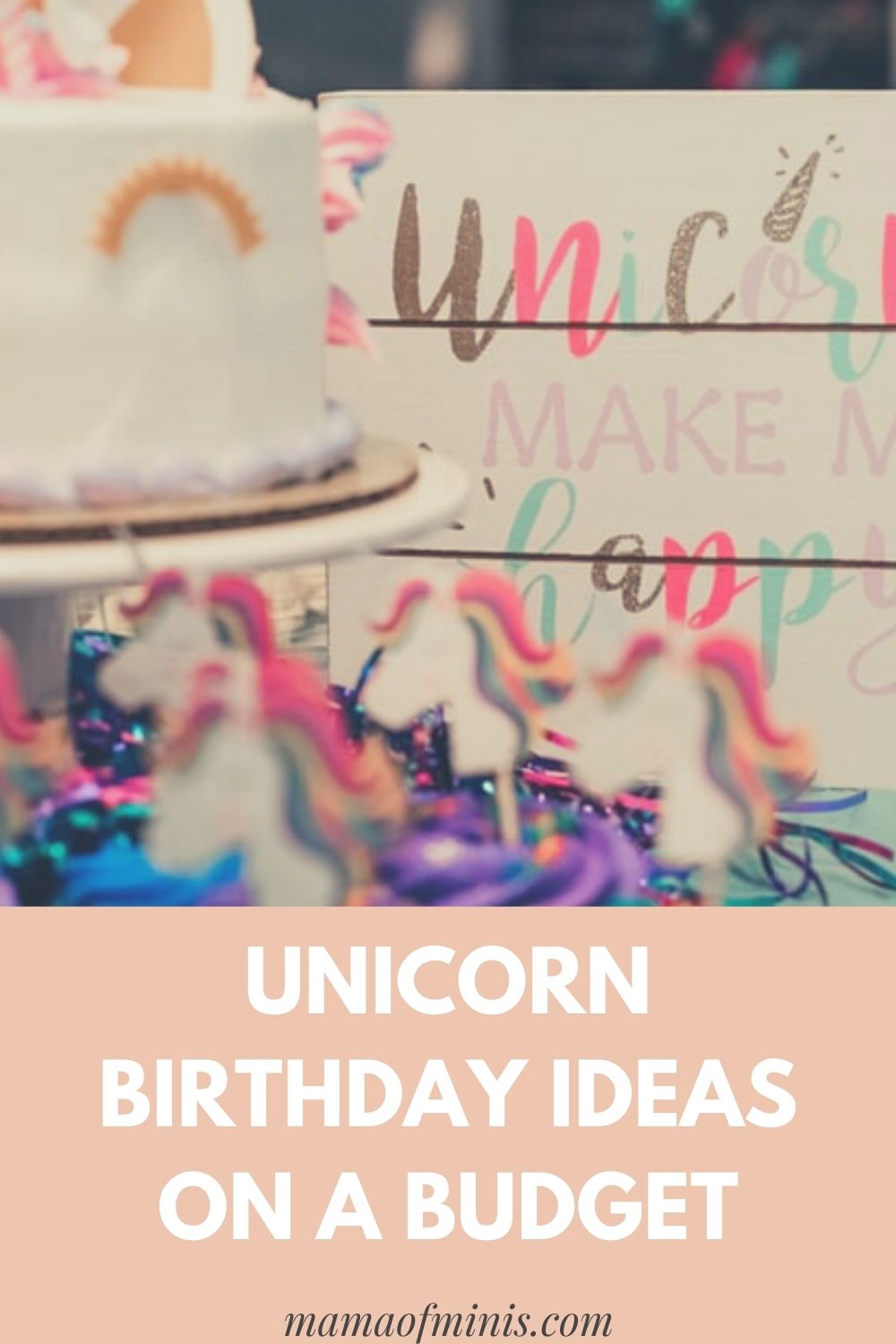 Unicorn Birthday Ideas on a Budget