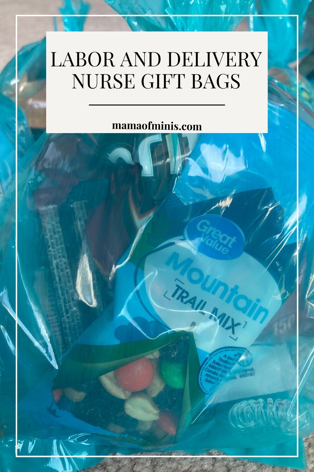 Labor and Delivery Nurse Gift Bags Pin