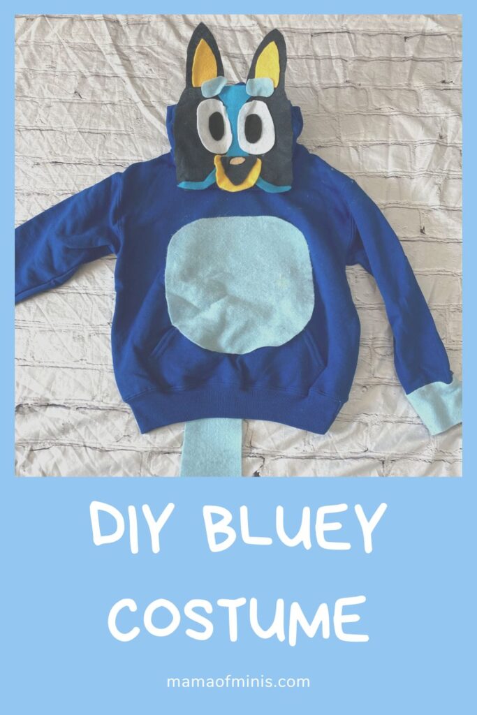 DIY Bluey Costume