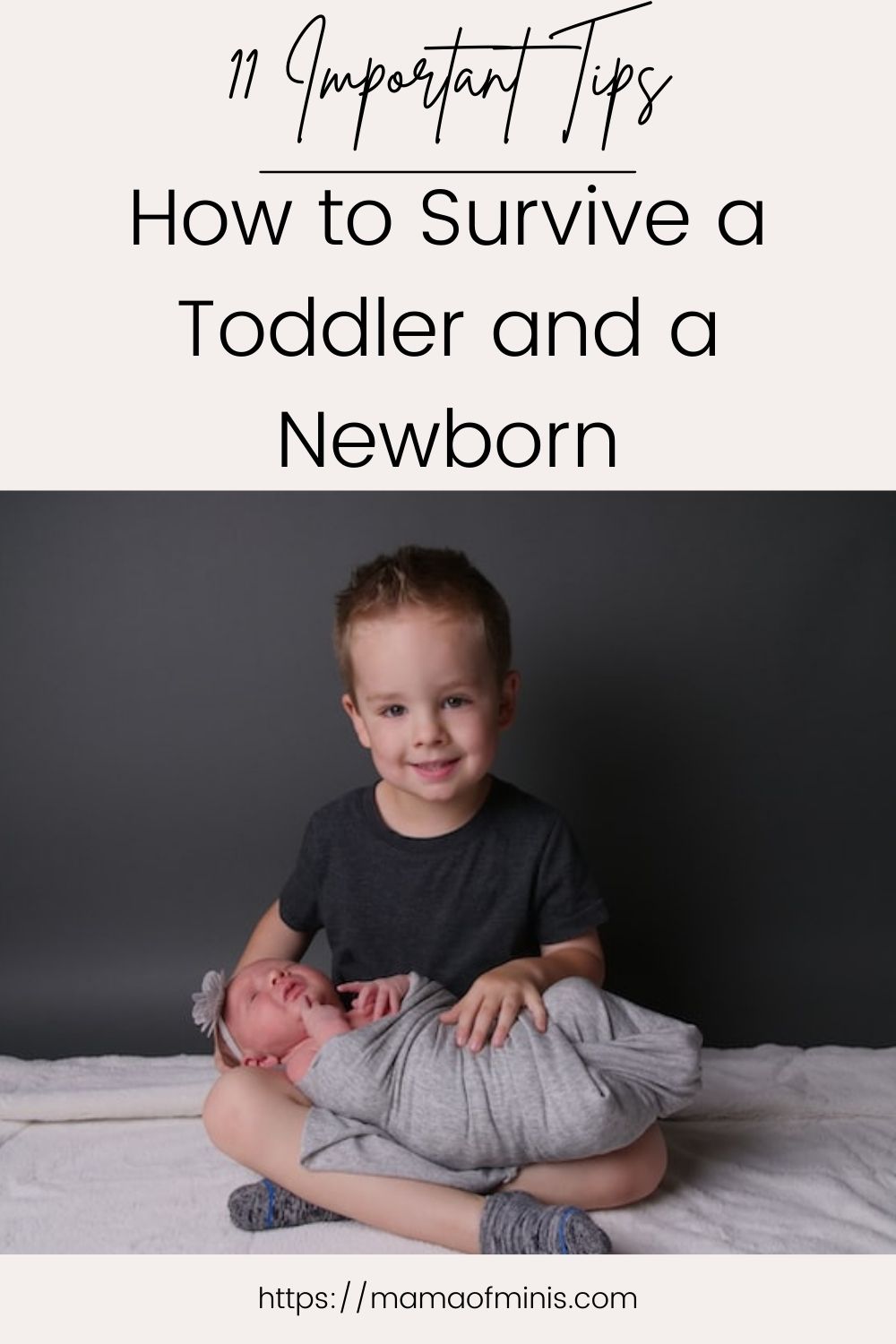 Tips to Survive a Toddler and Newborn Pin