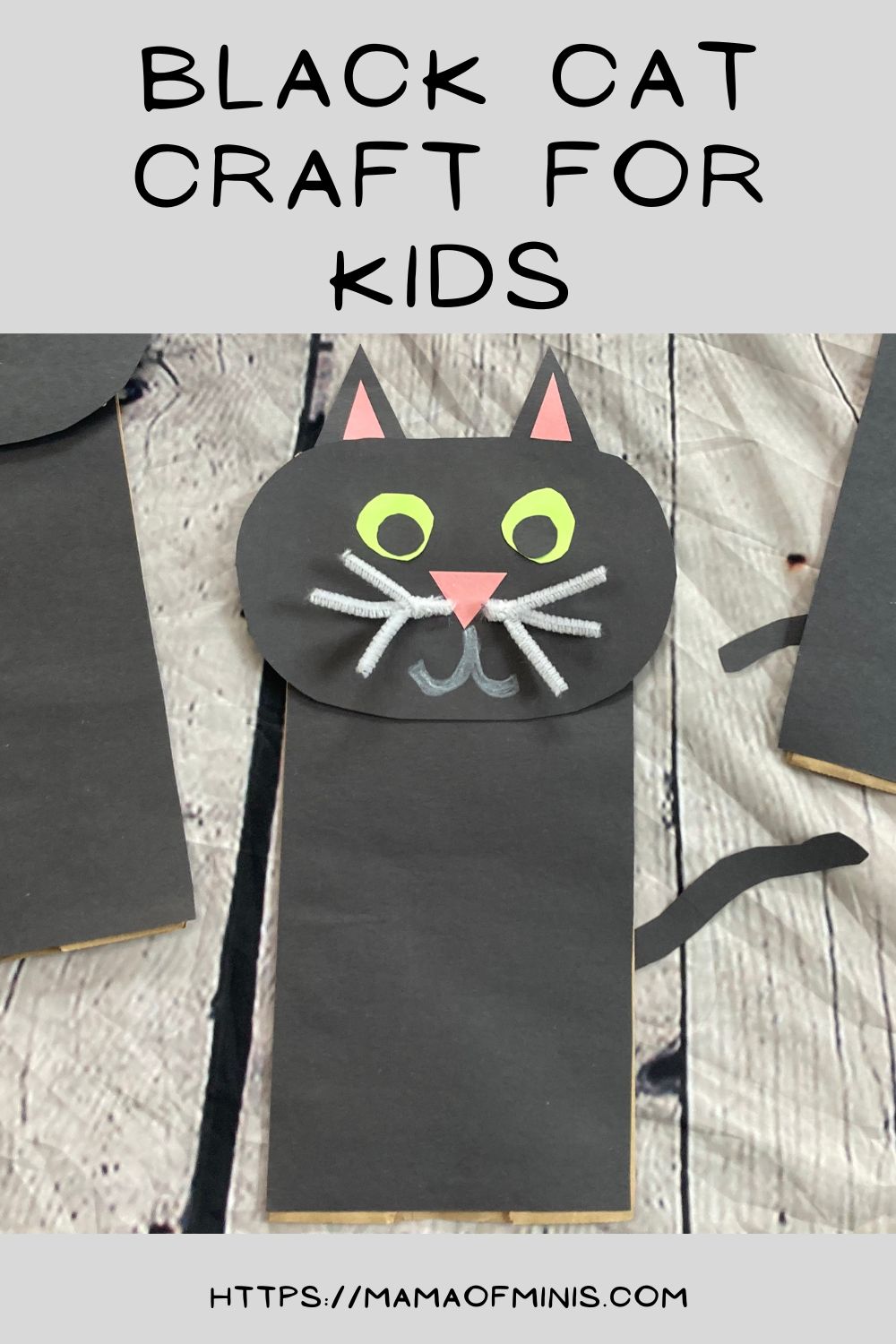 Black Cat Craft for Kids Pin