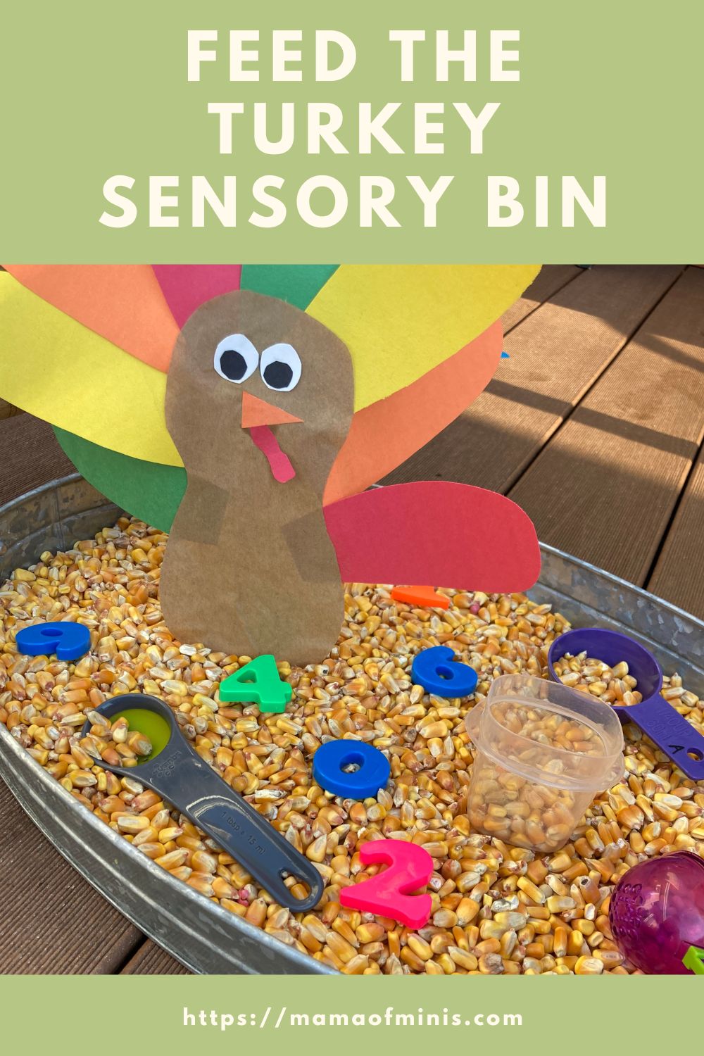 Feed the Turkey Sensory Bin