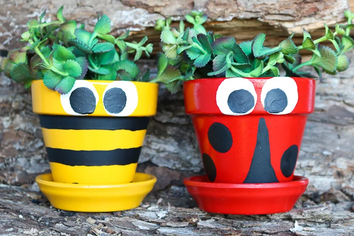 Bug Painted Pots