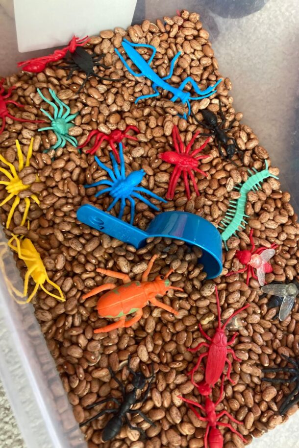 15 Awesome Bug Activities for Toddlers and Preschoolers - Mama of Minis