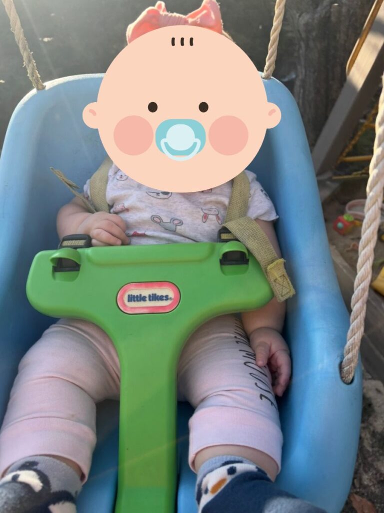 Little Tikes Snug and Secure Swing