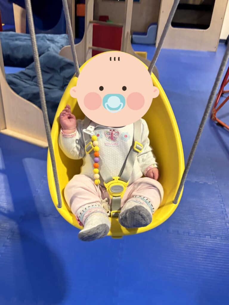 Swurfer Baby Swing in Play Gym