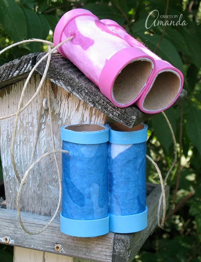 cardboard tube binoculars