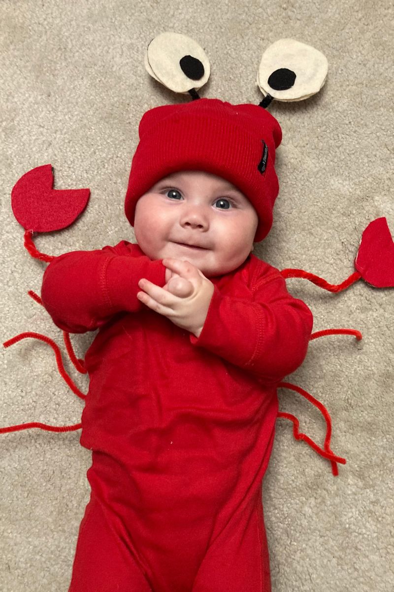 DIY Crab costume for babies