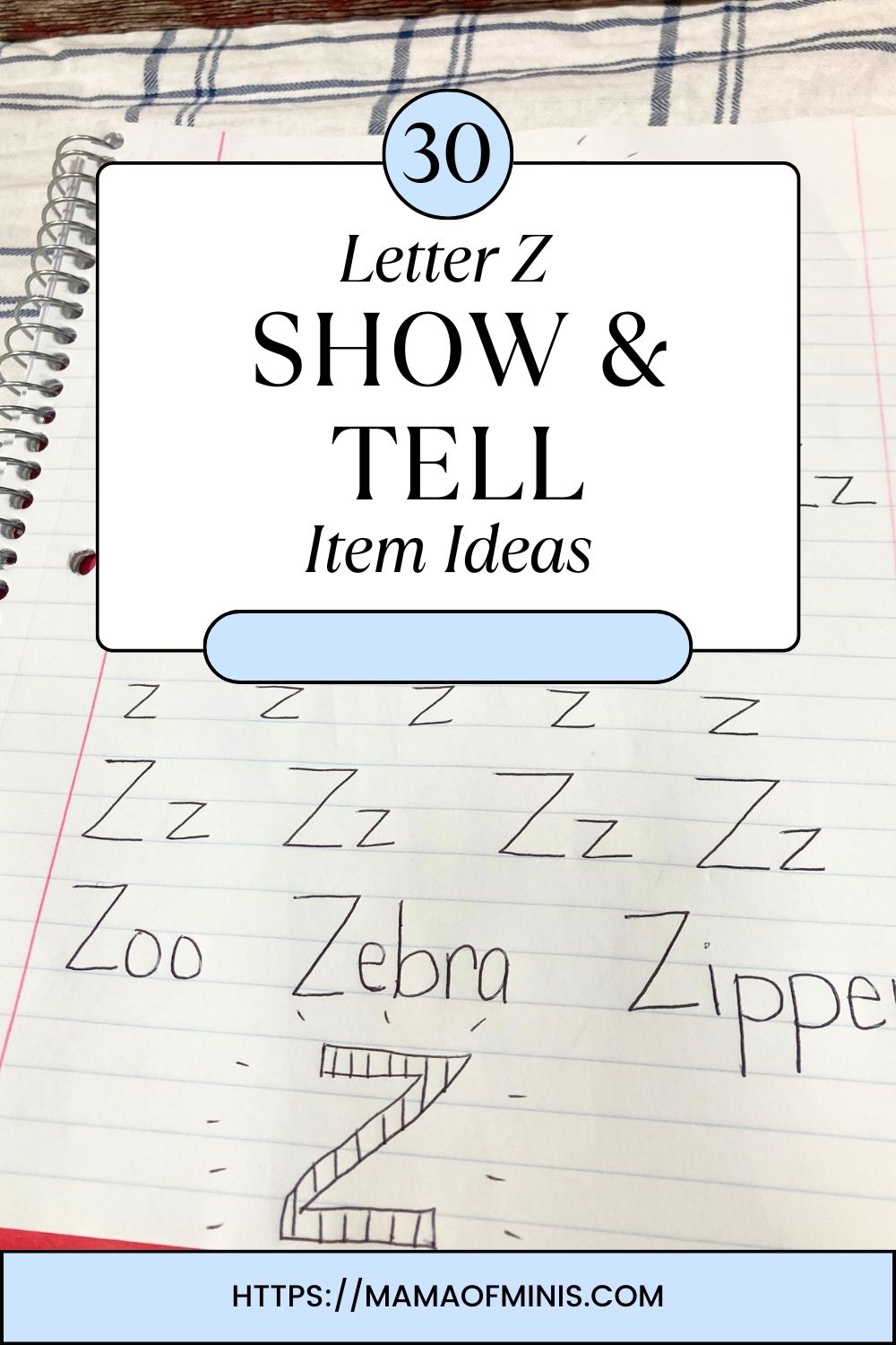 30 Great Show and Tell Letter Z Ideas