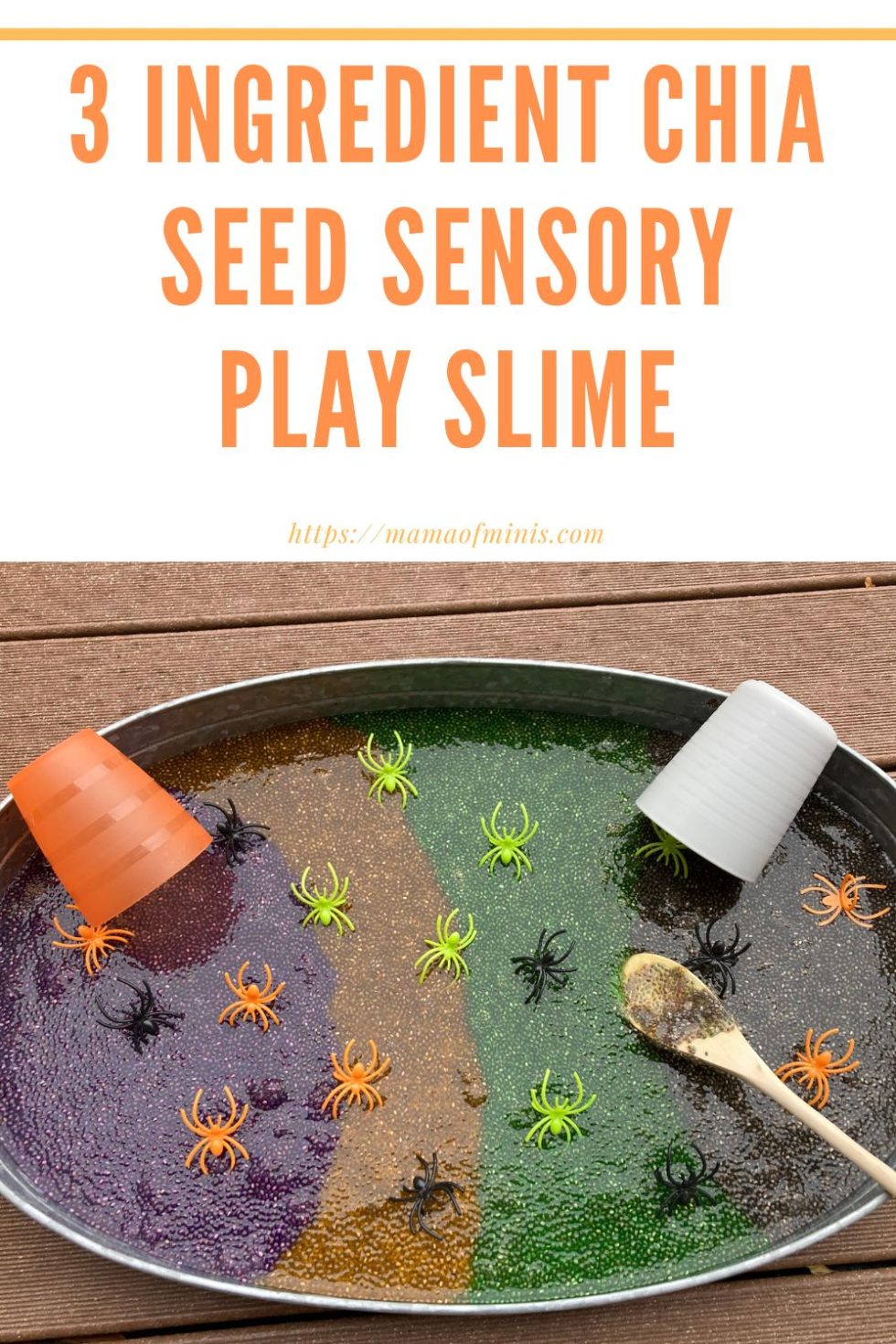 How to Make Chia Seed Sensory Play Slime