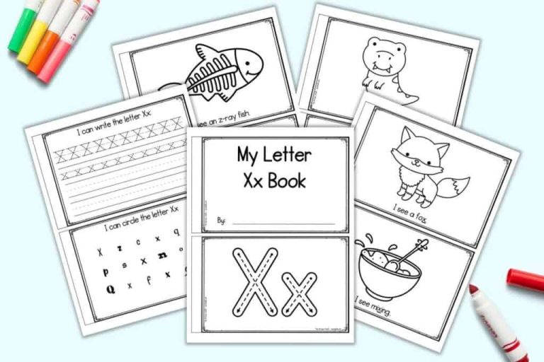 37 Excellent Show and Tell Letter X Item Ideas