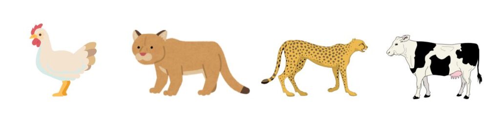 Animals that Start with C