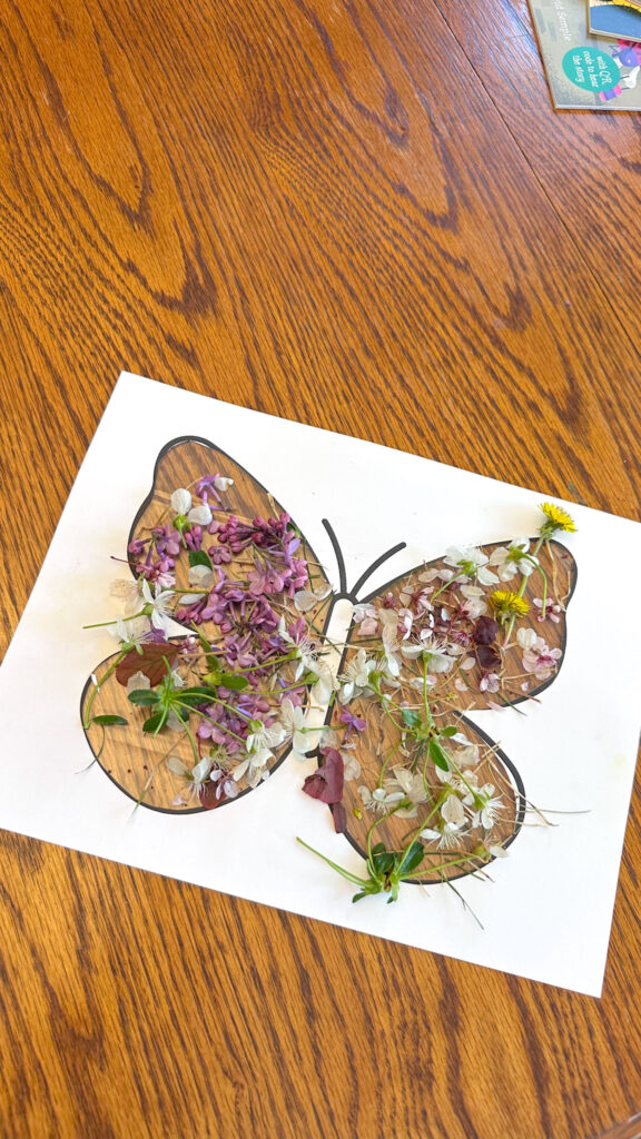 Nature butteflies with spring flowers