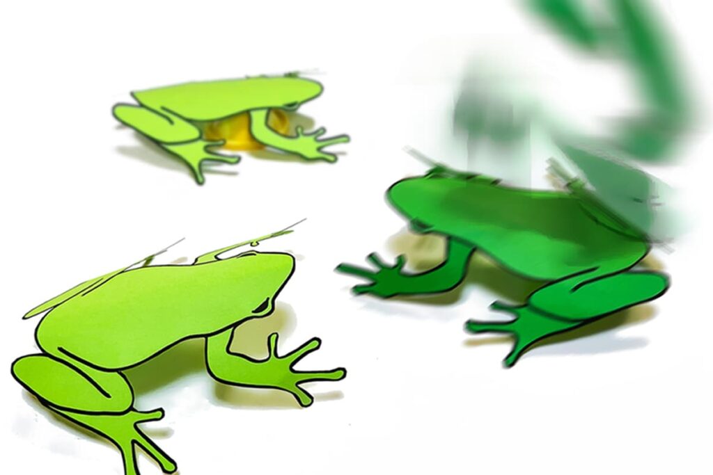Hopping Paper Frog Craft