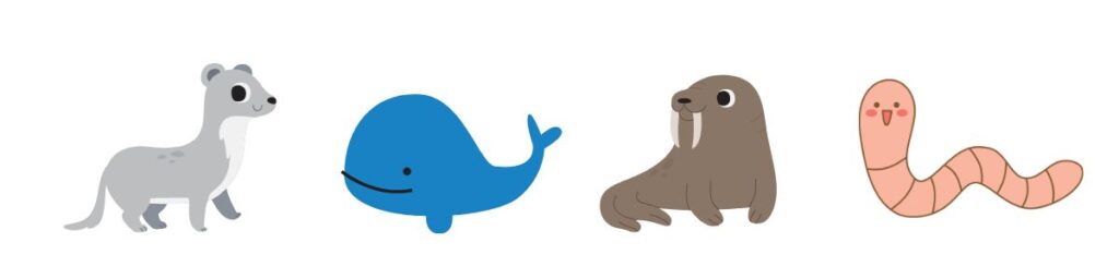 Animals That Start with W