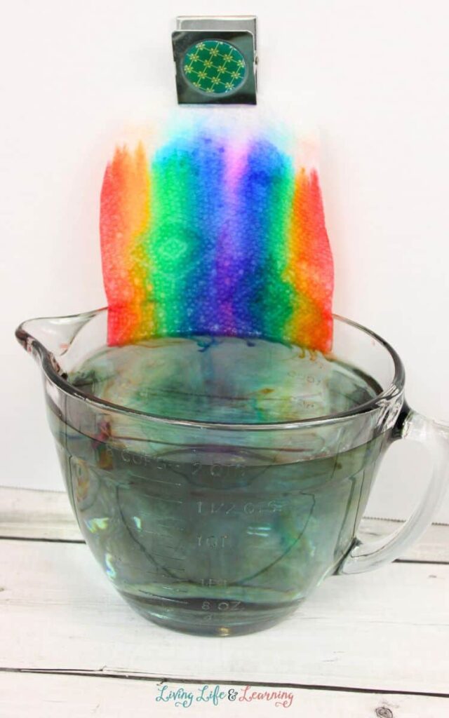 How to Grow a Rainbow Experiment