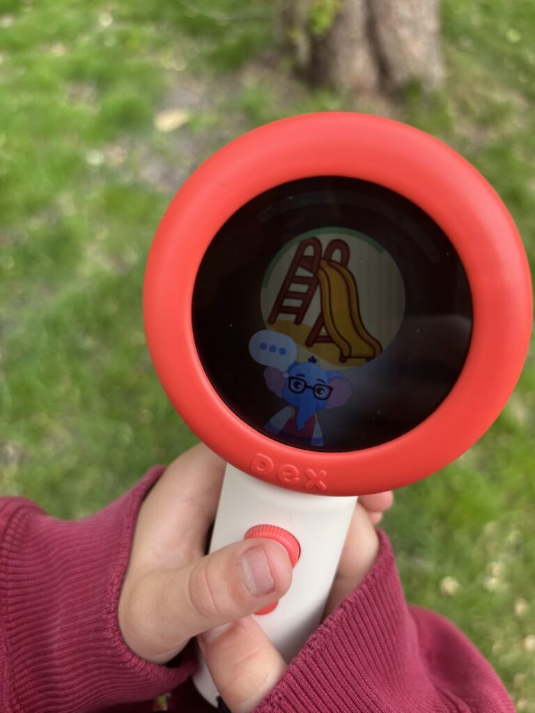 Dex Camera Dex Elephant