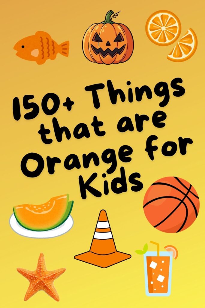 150+ Things that are Orange for Kids