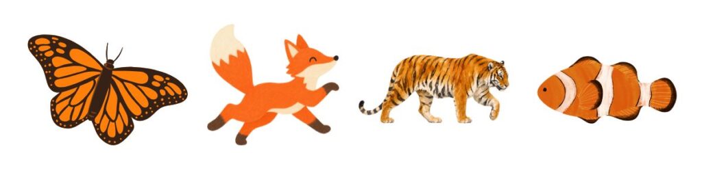 Animals that are Orange
