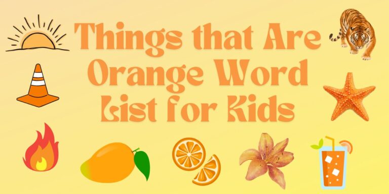 Things that are Orange Word List for Kids