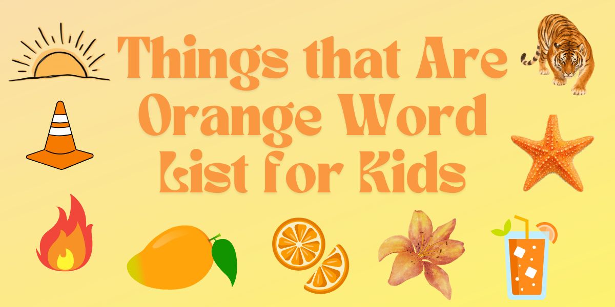 Things that are Orange Word List for Kids