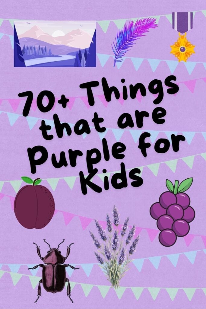 70+ Things that are Purple for Kids