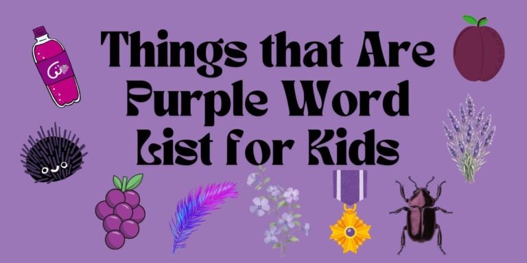 Things that are Purple Word List for Kids